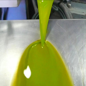 Olive Oil Fact #5: Why We Let Our Olive Oil Rest Before Bottling