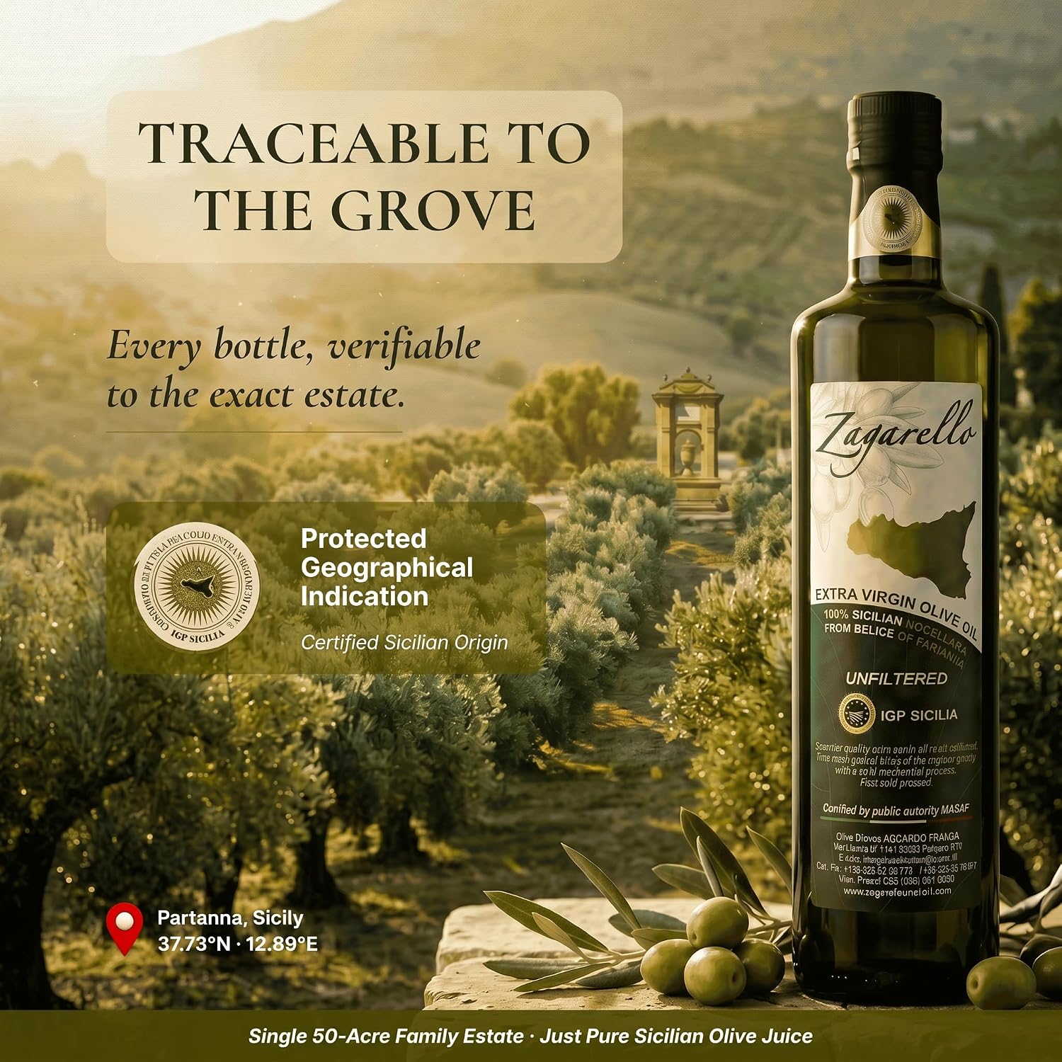 Zagarello 100% Traceable Italian Olive Oil Extra Virgin, Unfiltered, Pure, IGP Certified (2025) EVO-IOOC WINNER 2025 + 2026
