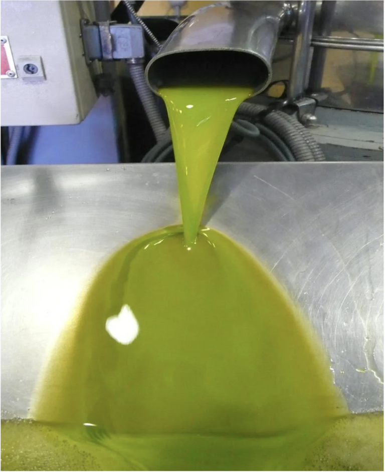 Creation of extra virgin olive oil